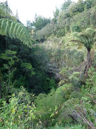 La Route de la mort : Precipice a gauche, falaise a droite, difficile a distinguer dans cette jungle