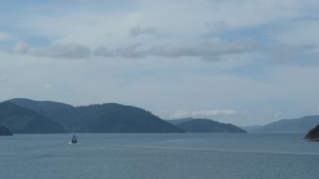 Arrivee a Picton par le Queen Charlotte Sound