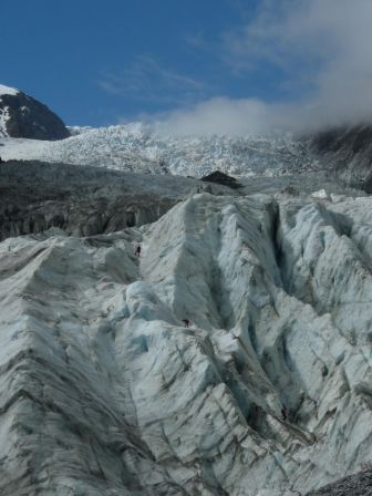 Ascension du glacier Franz Josef